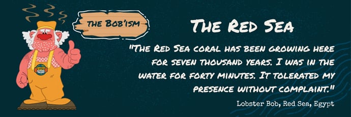 Red Sea Bobism